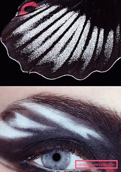 zebra make-up zebra make-up