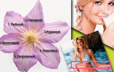 prehrana šestih cvetnih listov prehrana šestih cvetnih listov