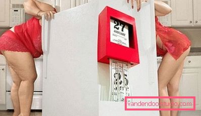 vitka in debela ženska v hladilniku vitka in debela ženska v hladilniku