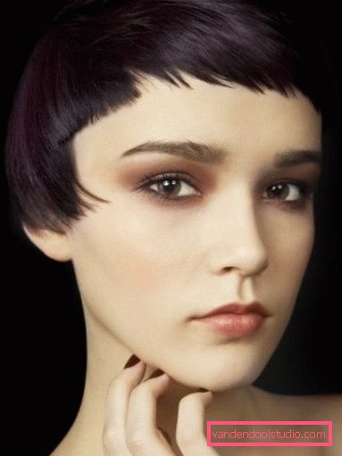 Stran za frizuro Elegantna frizura za kratke in srednje dlake