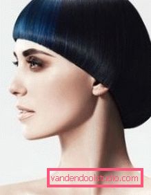 Stran za frizuro Elegantna frizura za kratke in srednje dlake