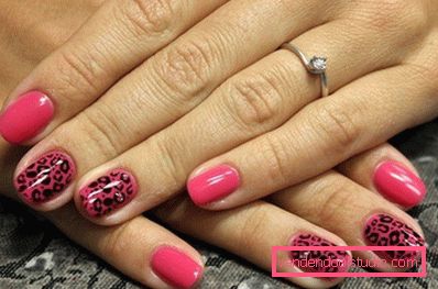 roza leoparda roza leoparda