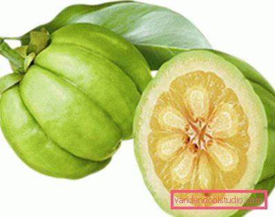 sadje garcinia cambogia sadje garcinia cambogia