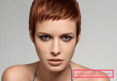 lep rdeč model lep rdeč model