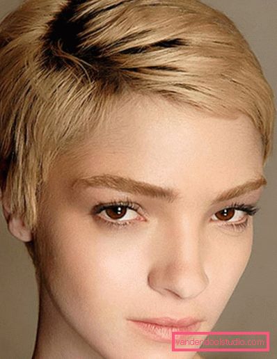 Francoska frizura Sorte in styling francoski odbitki