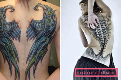 tatuhi na hrbtu tatuhi na hrbtu